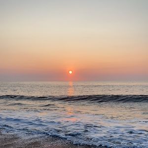 Meet your Posher, Lucy